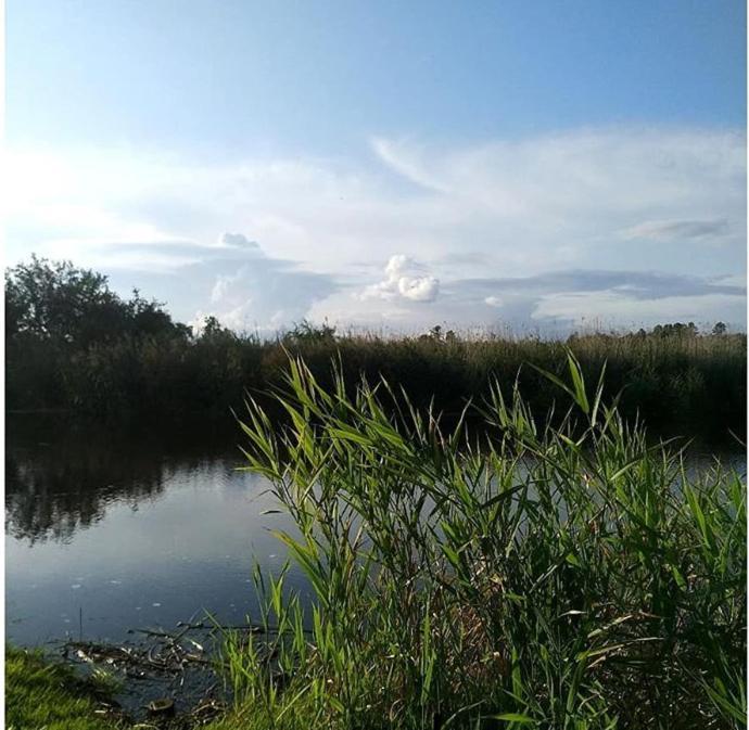Villa Dom Pod Bialym Pagajem Pisz Exterior foto